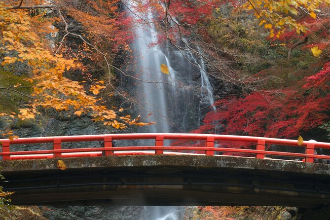 Minoo Park Adventure: Nature, Temples, and Coffee Bliss - Discovering Local Temples