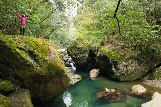 Miyazaki Valley Waterfall Hike - What to Expect