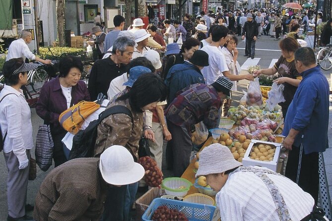 Morioka Half-Day Private Tour With Government-Licensed Guide - What to Expect on the Tour