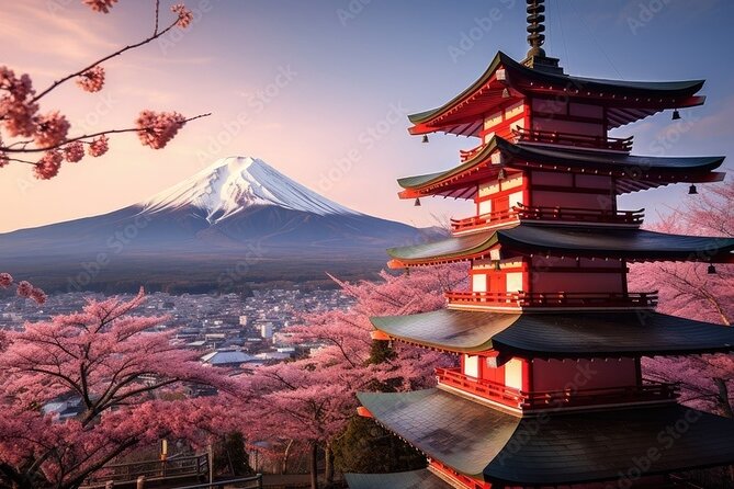 Mt Fuji Private Trip With English Speaking Driver - English Speaking Driver Benefits