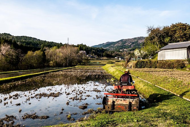 Nakasendo Self-Guided Walking Tour 2 Days - What to Expect