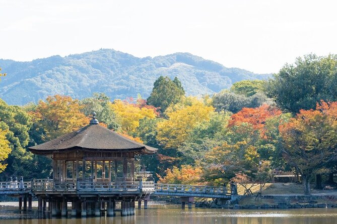 Nara : Private Day Walking Tour (From Osaka/Kyoto Possible) - Pricing and Availability