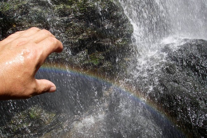 Nature Tour Around Waterfalls That Exudes From the Beech Forest Nishiwaga Town, Iwate Prefecture - Health and Safety Requirements