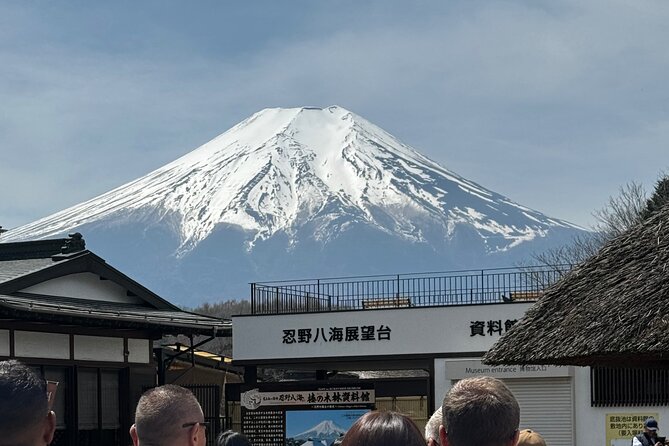 One Day Mountain Fuji & Hakone Tour With English Hindi Bilingual - Pricing Information