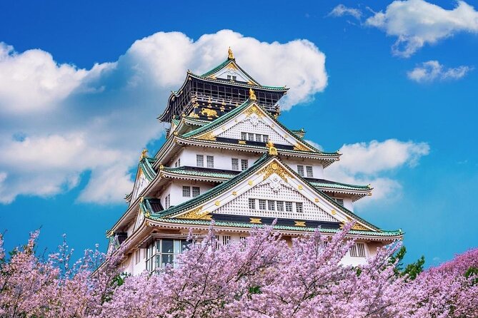 Osaka Cherry Blossom Tour With a Local: 100% Personalized Private - Inclusions and Amenities