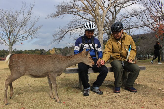 Private Bike Tour in Nara With Japanese Guide - Cancellation and Refund Policy