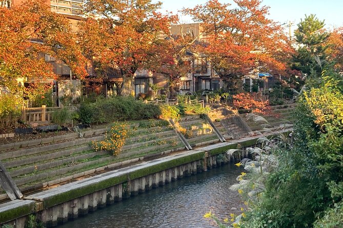 Private Kimono Stroll in Toyama City Possibly With a Shiba Inu - Meeting Point and Schedule