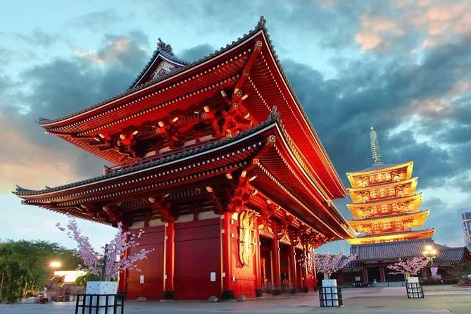 Private Transport 1 Day Tokyo Tour - Itinerary and Schedule