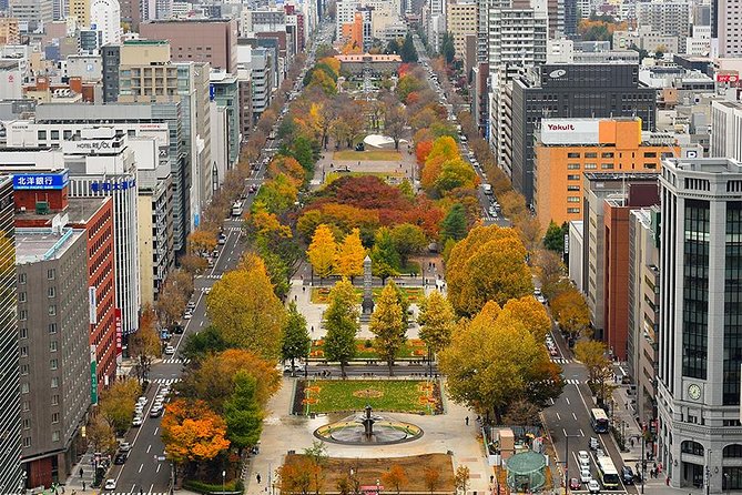 Sapporo TV Tower - What to Expect During Your Visit