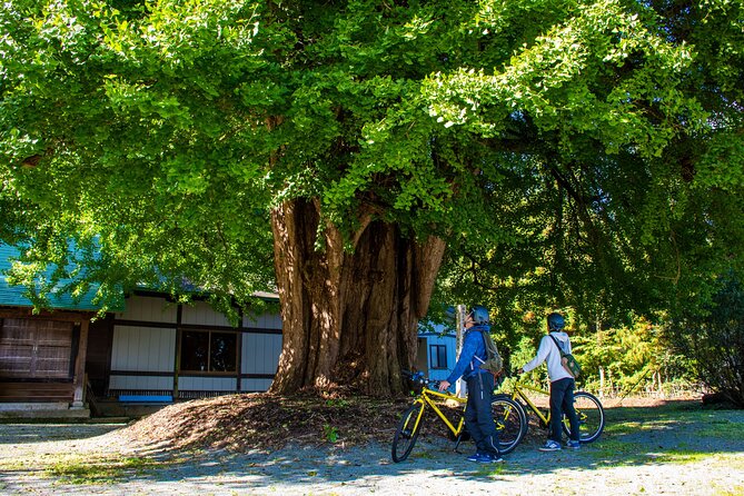 3 Hour Cycling Tour in Kakunodate - Cycling Route Highlights