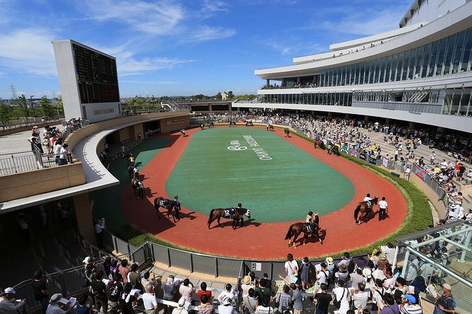 A Tour to Enjoy Japanese Official Gambling (Horse Racing, Bicycle Racing, Pachinko) - Tour Details and Inclusions