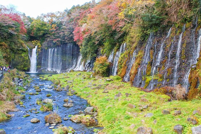 A Trip to Enjoy Subsoil Water and Nature Behind Mt. Fuji - Booking and Pricing Information