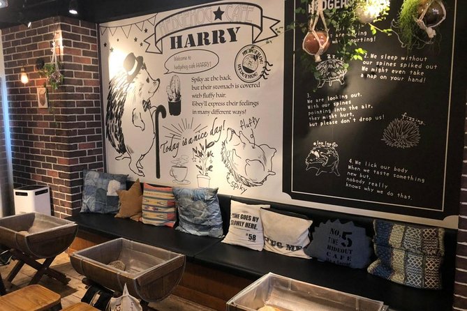 Admission to Hedgehog Cafe in Harajuku - Pricing and Payment Options