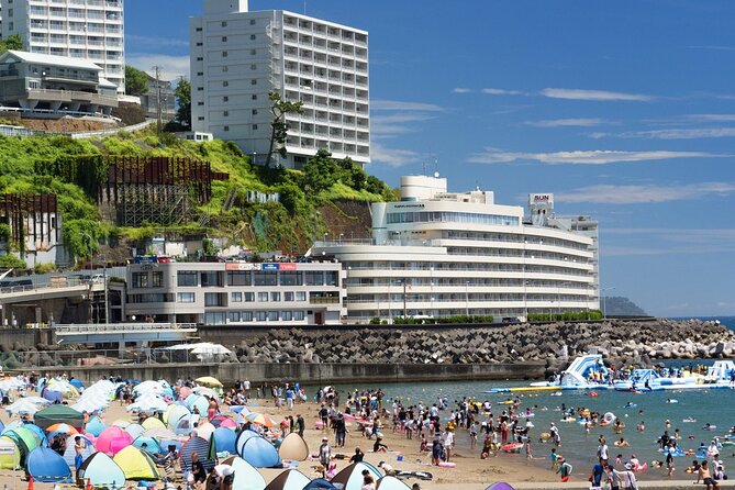 Atami Half-Day Private Tour With Government-Licensed Guide - Accessibility Features