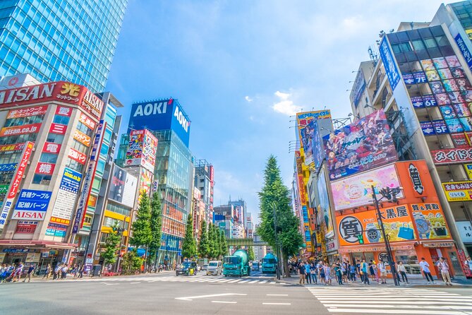 From History to Subculture: Akihabara & Ueno Must-See Tour! - Local Cuisine to Try