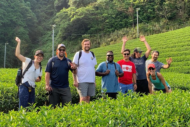 Guided Bike Tour to a Green Tea Farm in Shizuoka (Not E-Bikes) - Traveler Requirements and Recommendations