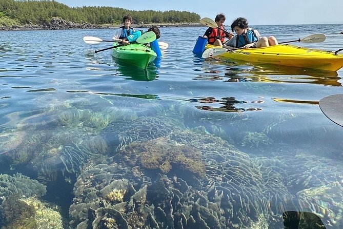 Half Day Kayak Adventure in Sakurajima Seascapes - Rental Options and Costs