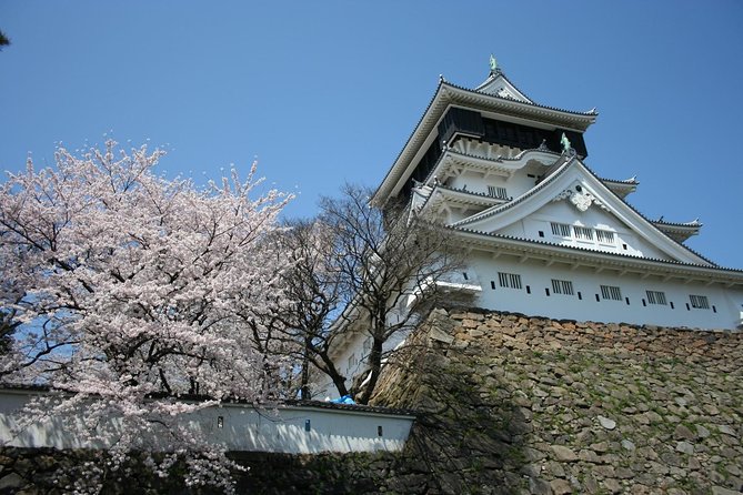 Kitakyushu Full-Day Private Trip With Government-Licensed Guide - Pricing and Inclusions