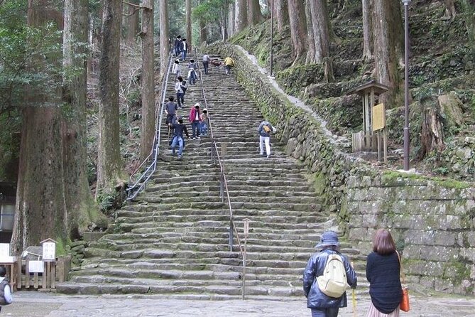 Kumano Kodo Half Day Daimonzaka and Nachi Taisha Tour - Traveler Reviews