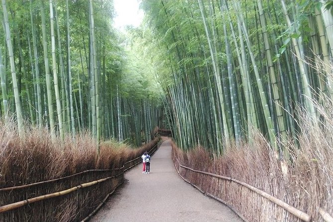 Kyoto Early Bird Feat. Matcha Town Tour - Highlighted Attractions