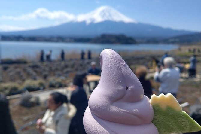 Mt Fuji With Kawaguchiko Lake Day Tour - Accessibility Features