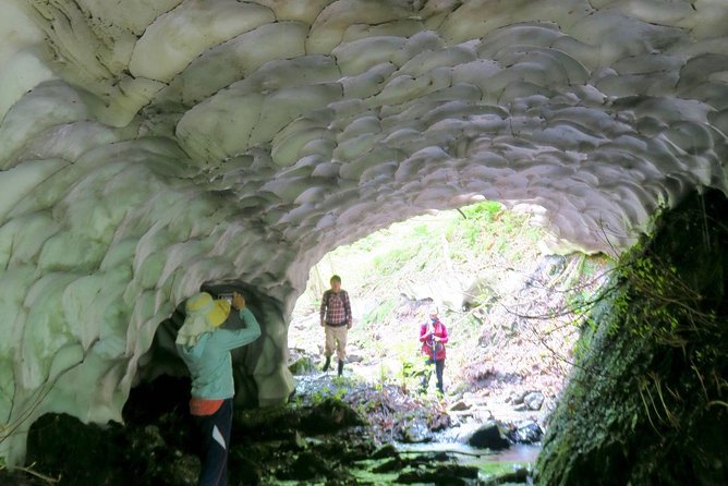 Nature Tour Around Waterfalls That Exudes From the Beech Forest Nishiwaga Town, Iwate Prefecture - Booking and Cancellation Policy