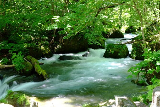 Oirase Gorge and Lake Towada Day Hike With Government-Licensed Guide - How to Reserve Your Spot