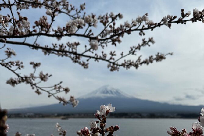 One Day Mountain Fuji & Hakone Tour With English Hindi Bilingual - Reviews and Ratings