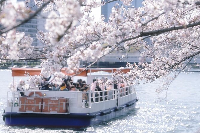 Osaka Cherry Blossom Tour With a Local: 100% Personalized Private - Accessibility Features