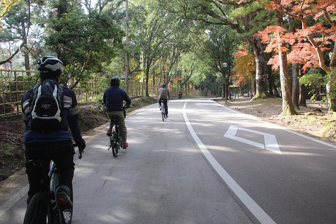 Private Bike Tour in Nara With Japanese Guide - Participant Requirements