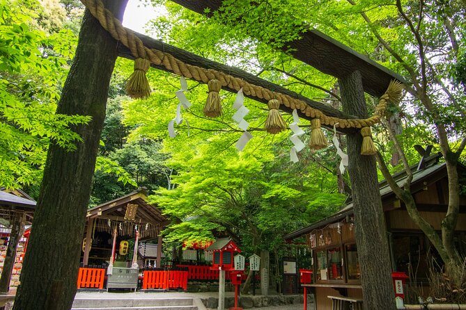 Private Day Tour - Kyoto Arashiyama & Bamboo Forest Perfect Tour! - Important Tips