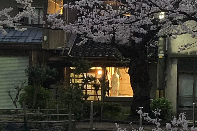 Private Kimono Stroll in Toyama City Possibly With a Shiba Inu - Accessibility and Requirements