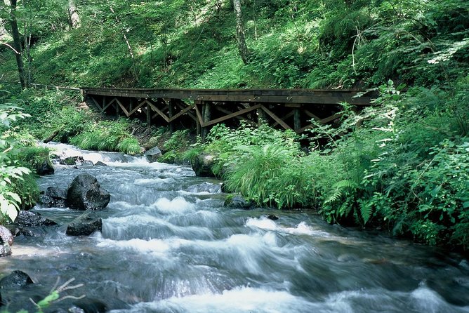 Relax and Refresh in Karuizawa Forest! Shinanoji Down Trekking Around Two People - Customer Reviews and Ratings