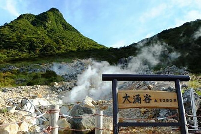 Tokyo: Hakone Fuji Day Tour W/ Cruise, Cable Car, Volcano - Cancellation Policy