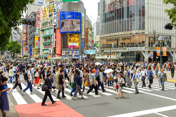 Tokyo Personalized Full-day Tour Led by a Local Expert - Accessibility Features