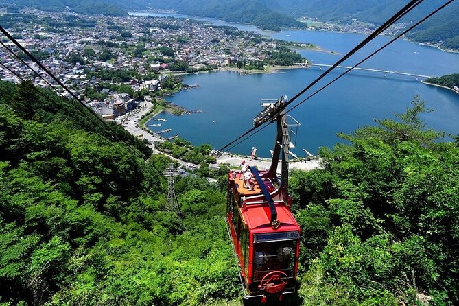 Walking Tour in Mt. Fuji From Tokyo - Customer Experiences and Reviews