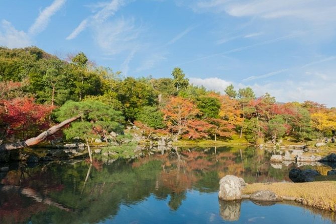 Free Choice of Itineraries Kyoto Private Tour - Operational Details and Policies