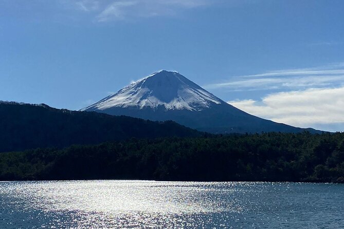 Fuji Spiritual Private Tour With Lunch and Dinner - Pricing Structure