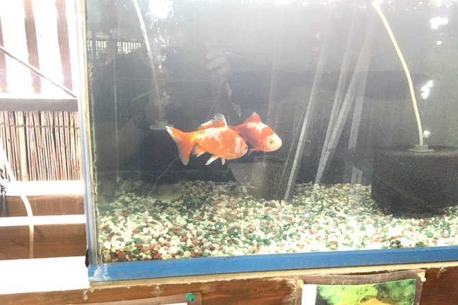 Full-Day Goldfish Unique Experience in Yamato-Koriyama, Nara - Pricing and Payment Details