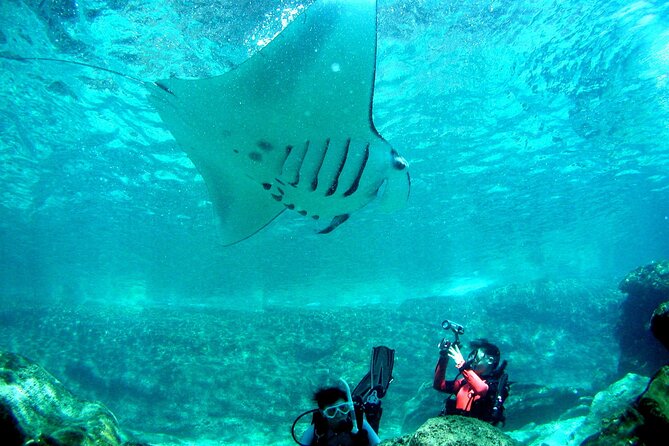 Full Day Guided Boat 2diving in Kerama Islands（License Required） - Pricing and Reservation Details