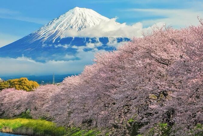 Full Day Private Tour of Mt Fuji - Accessibility Information