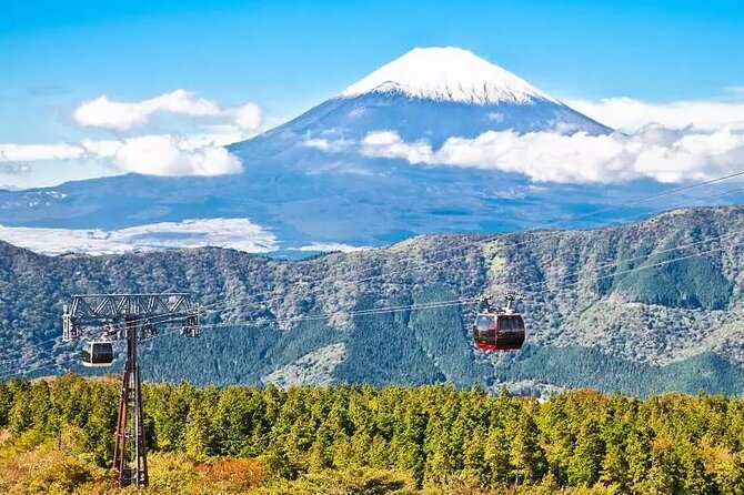 Hakone FreePass, 2-3 Days Japan - What to Expect During Your Visit