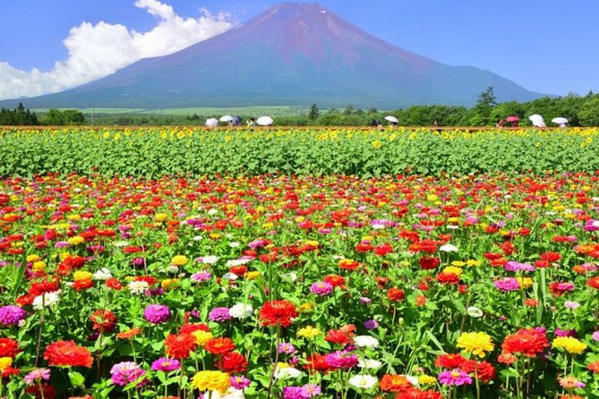 Mt. Fuji Flower Festival Tour With Ropeway Experience From Tokyo - Pricing and Booking Options