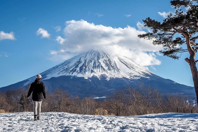 Mt Fuji Private Trip With English Speaking Driver - Accessibility and Infant Seat Options