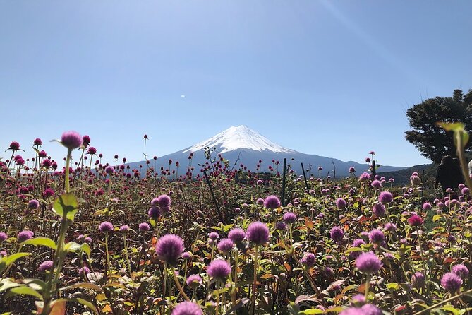 Mt Fuji With Kawaguchiko Lake Day Tour - Pricing and Booking Information