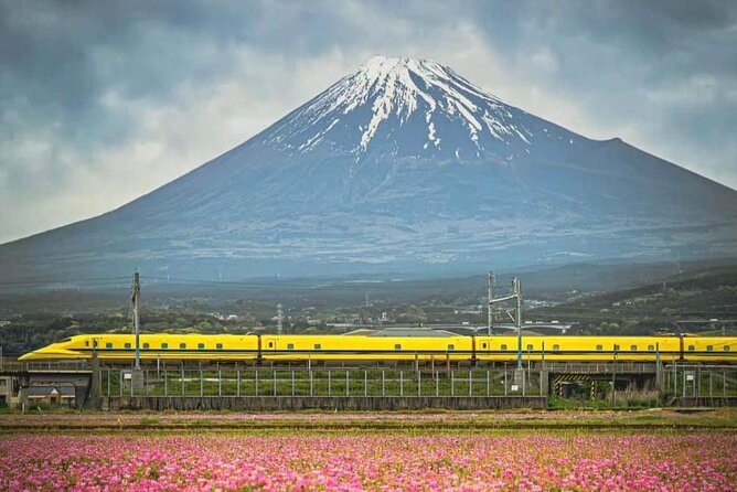 One Day Mountain Fuji & Hakone Tour With English Hindi Bilingual - Booking and Cancellation Policy