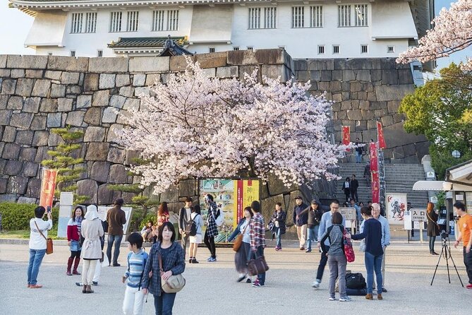 Osaka Cherry Blossom Tour With a Local: 100% Personalized Private - Customization Options