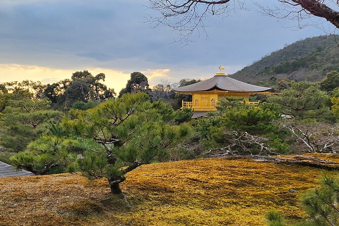 Osaka Dep, Arashiyama Ninnaji and Golden Pavilion Full Day Tour - Accessibility Features