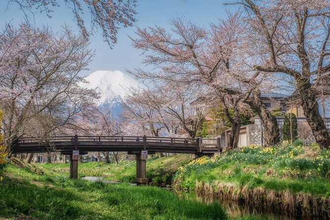 Oshino Hakkai and Hot Spring Trip From Tokyo to Mt. Fuji - Travel Itinerary