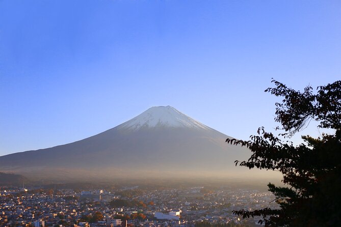 Private Mount Fuji and Hakone Tour With English Guide - Accessibility Features